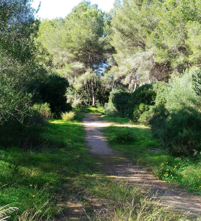 Apartment Los Pinos Cala Murada (Mallorca)